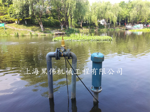 河道治理沉水式鼓91香蕉污视频 河道治理沉水式鼓91香蕉污视频