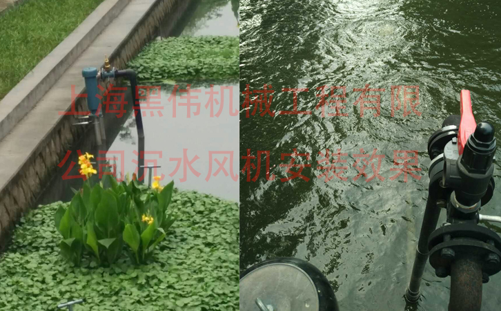 沉水91香蕉污视频效果